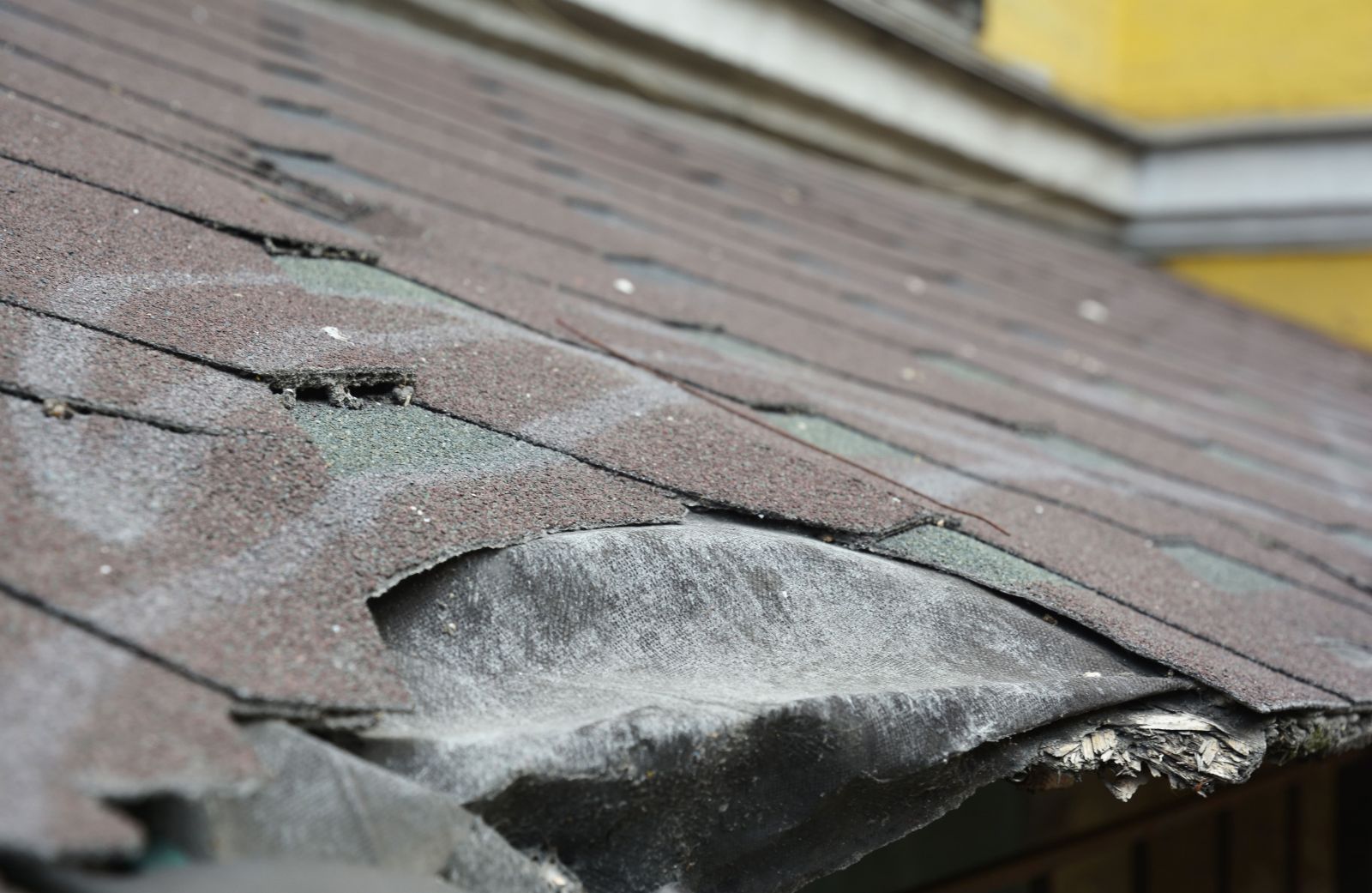 Acme Roofing Services Images