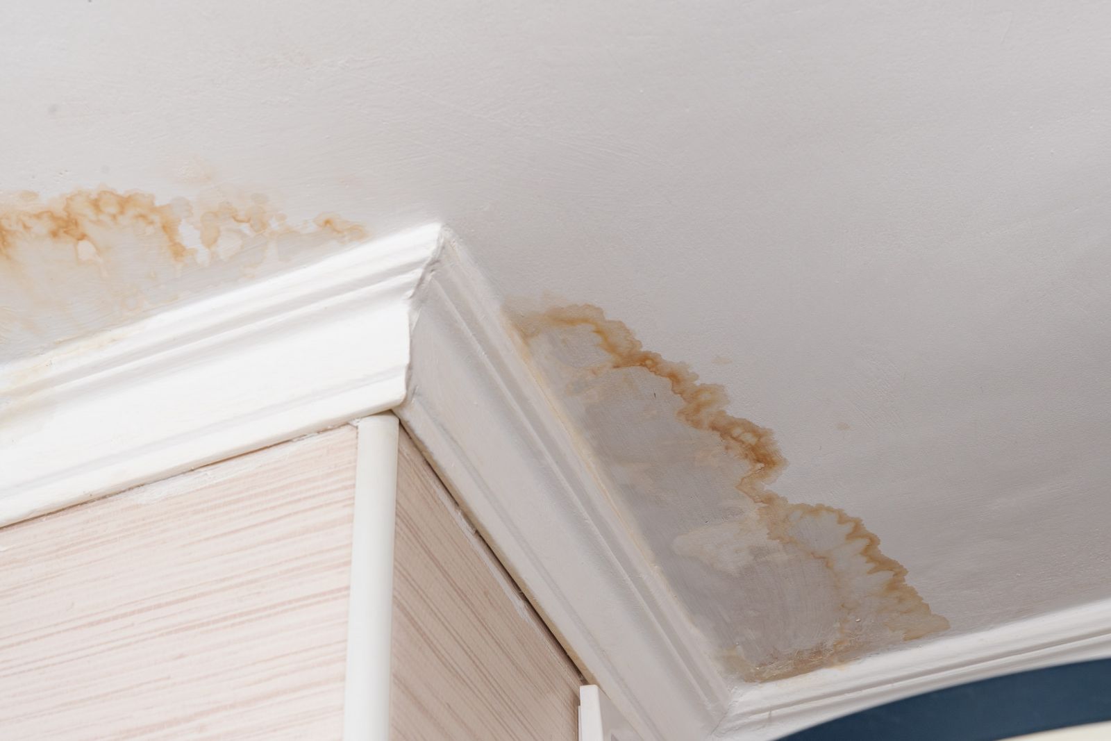 Acme Roofing Services Images