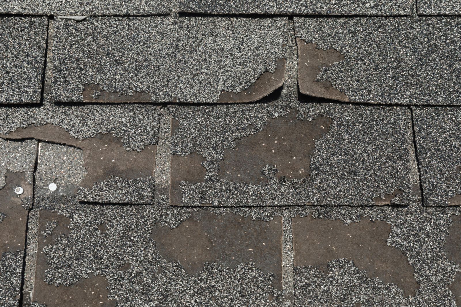 Acme Roofing Services Images