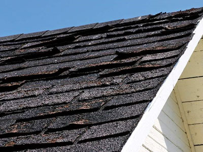 Acme Roofing Services Images