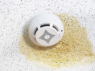 Acme Roofing Services Images