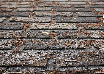Acme Roofing Services Images
